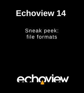 Echoview 14