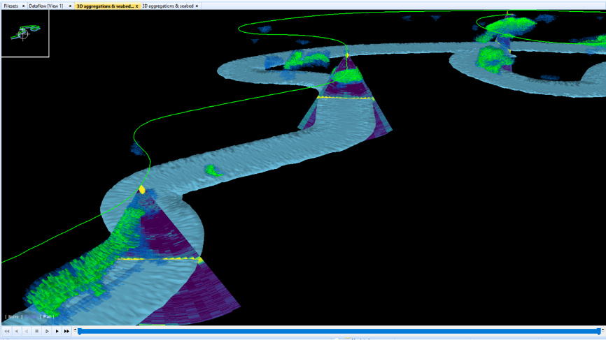 Echoview 3D visualization multibeam education