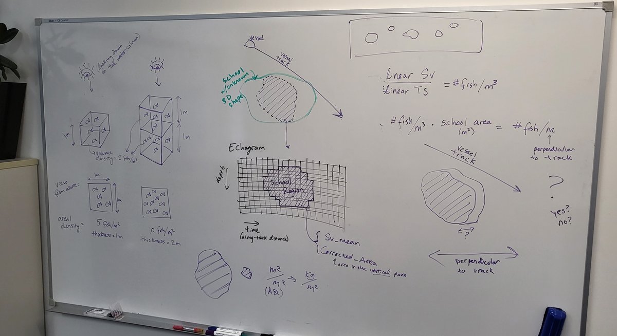 Echoview Software whiteboard.jpg