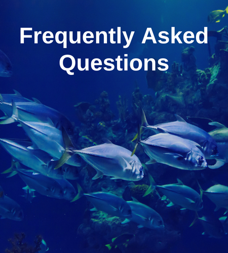 Echoview faqs