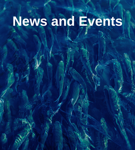 Echoview news events hydroacoustic