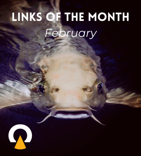 EchoviewlinksofthemonthFebruary2024