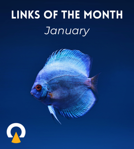 EchoviewlinksofthemonthJanuary2025