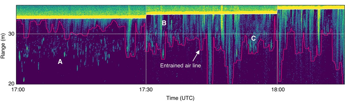 Figure 4 the line drawn in Echoview