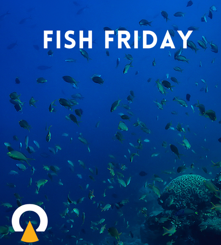 Fish Friday.png