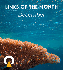 Links-of-the-month-December-Echoview-hydroacoustics-2025