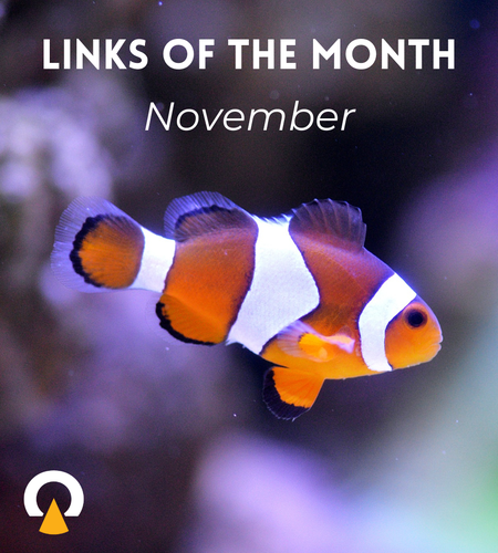 Links-of-the-month-November-Echoview-hydroacoustics 2024