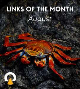 Echoview-links-of-the-month-August-2023