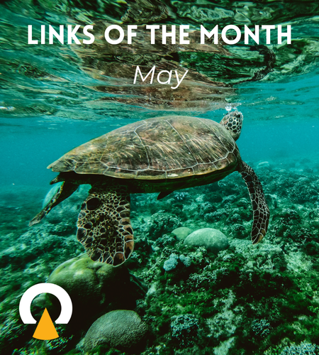 New-links-of-the-month-May-2024
