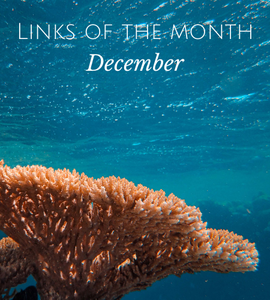 New links of the month - December.png