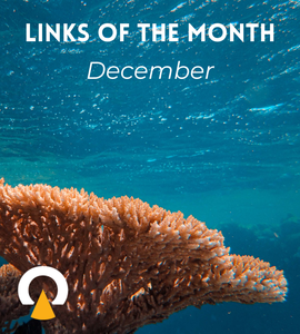 New links of the month December2024