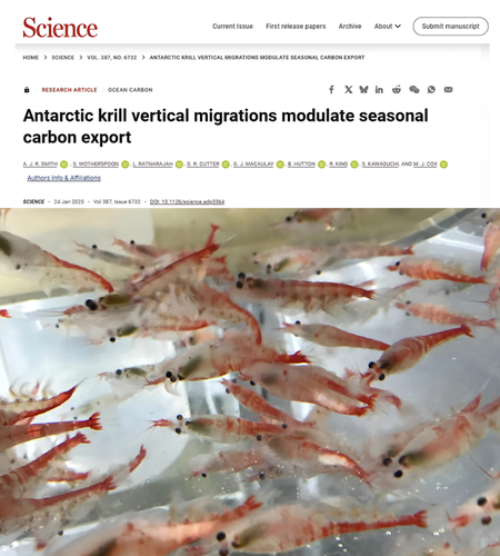 Science-Magazine-Article-Krill-Antarctic-Abbie-Smith