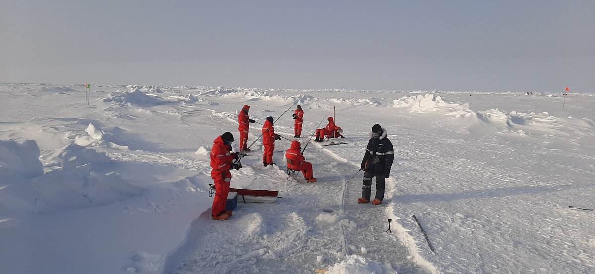 artic series serdar group.jpg
