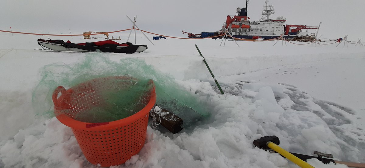 artic series ship.jpg