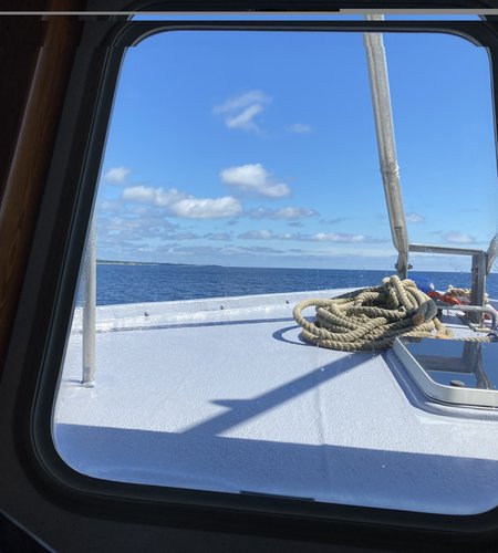 boat cruise