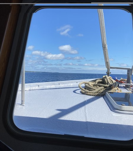 boat cruise