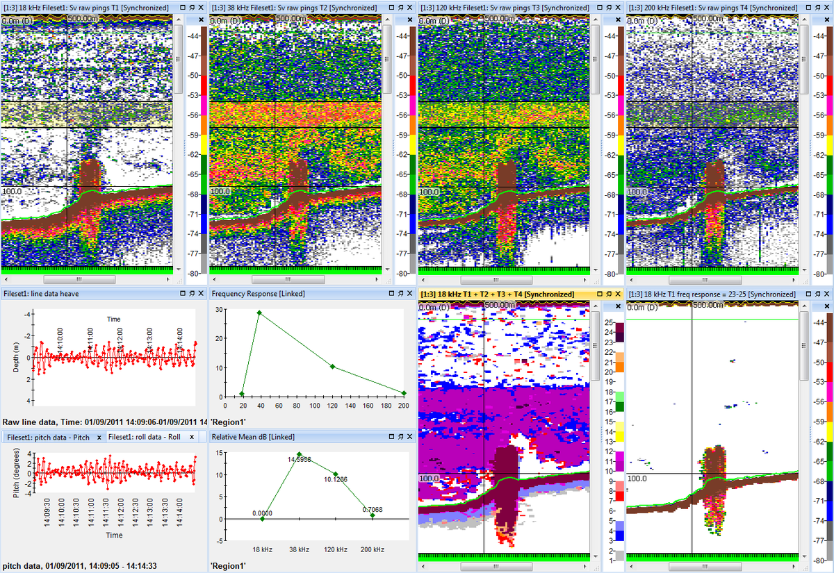 How Echoview Software for Marine Work