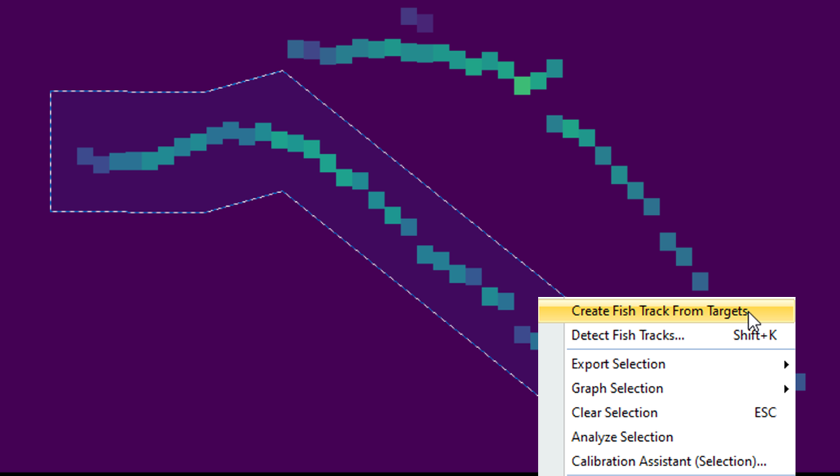 echoview-15-fish-track-parallelogram-selection