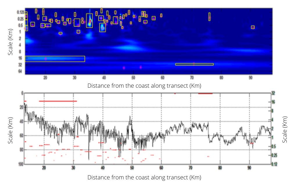 Echoview Wavelet Analayis2.png