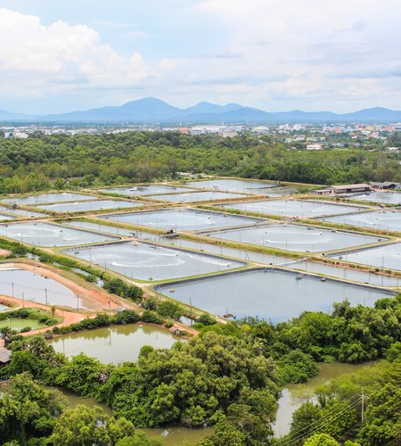 Shrimp Farm Echoview Aquaculture