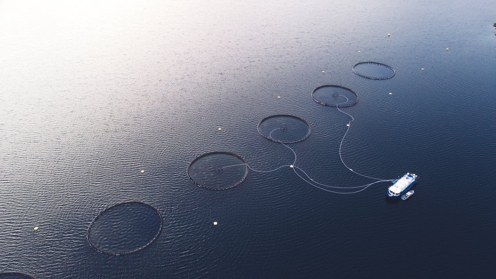 Net pens.jpg