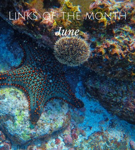 Echoview-links-of-the-month-June.png