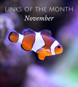 Echoview-links-of-the-month-November.png