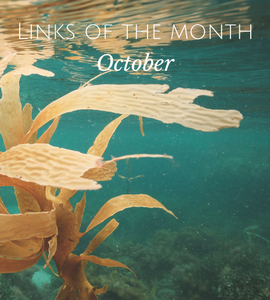 Echoview-links-of-the-month-October.png