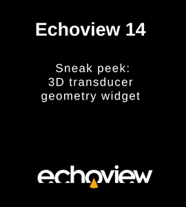 Echoview 14 3D transducer geometry widget